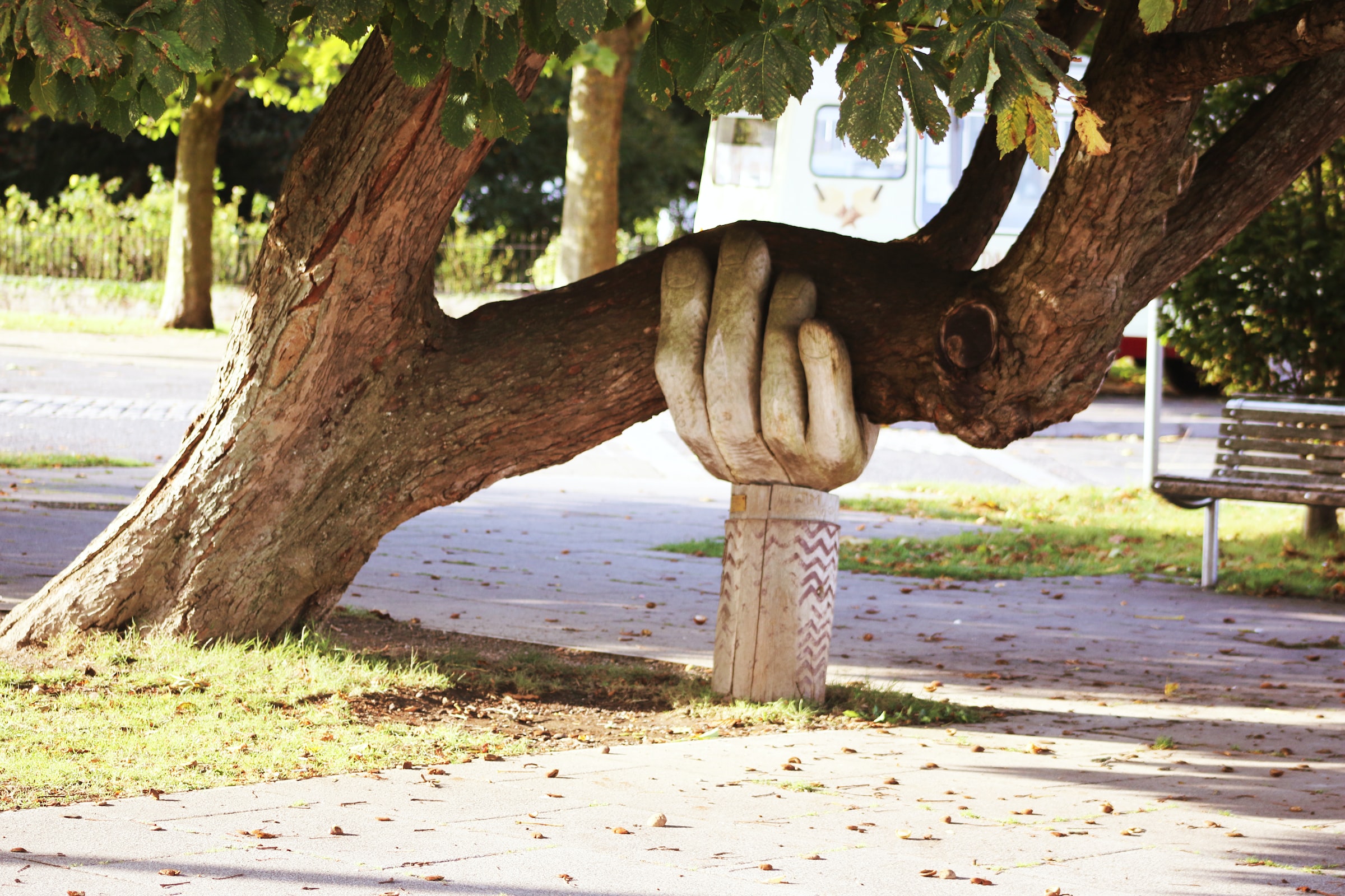 carved hand holding a tree up